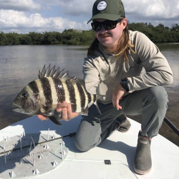 Inshore fish sheepshead Tampa Bay